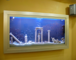 пресноводный аквариум
